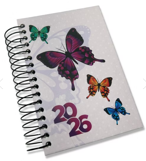 Agendas de Planejamento Anual Color 2026 Lorigraf