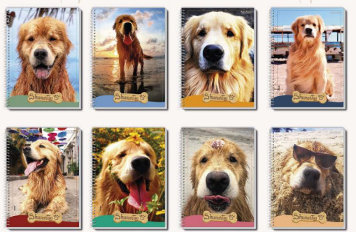 Caderno 1X1 Capa Dura Shurastey 80 Folhas PAUTA BRANCA